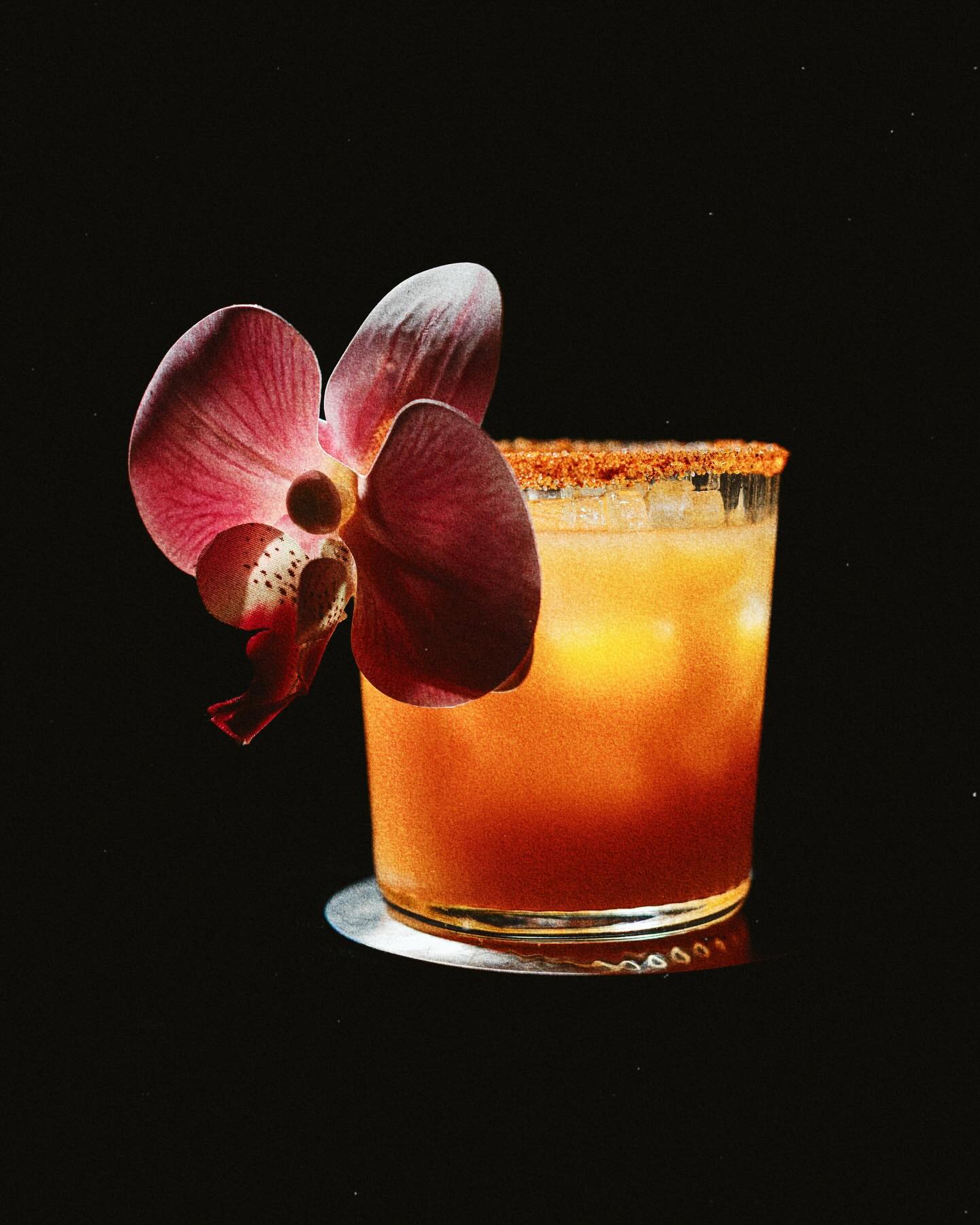 Cocktail à la tequila, givrage épicé et orchidée, sur fond noir